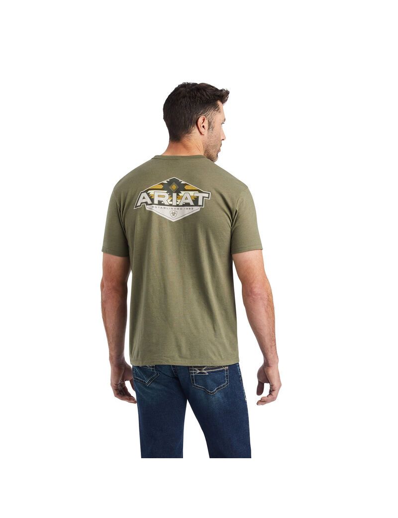 Camiseta Ariat Hexafill Hombre Multicolor | FAVR10842