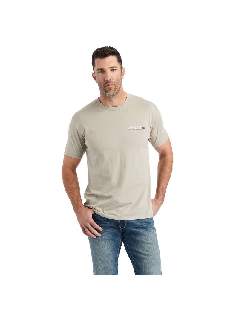 Camiseta Ariat Horizontal Hombre Kaki | VESF04562