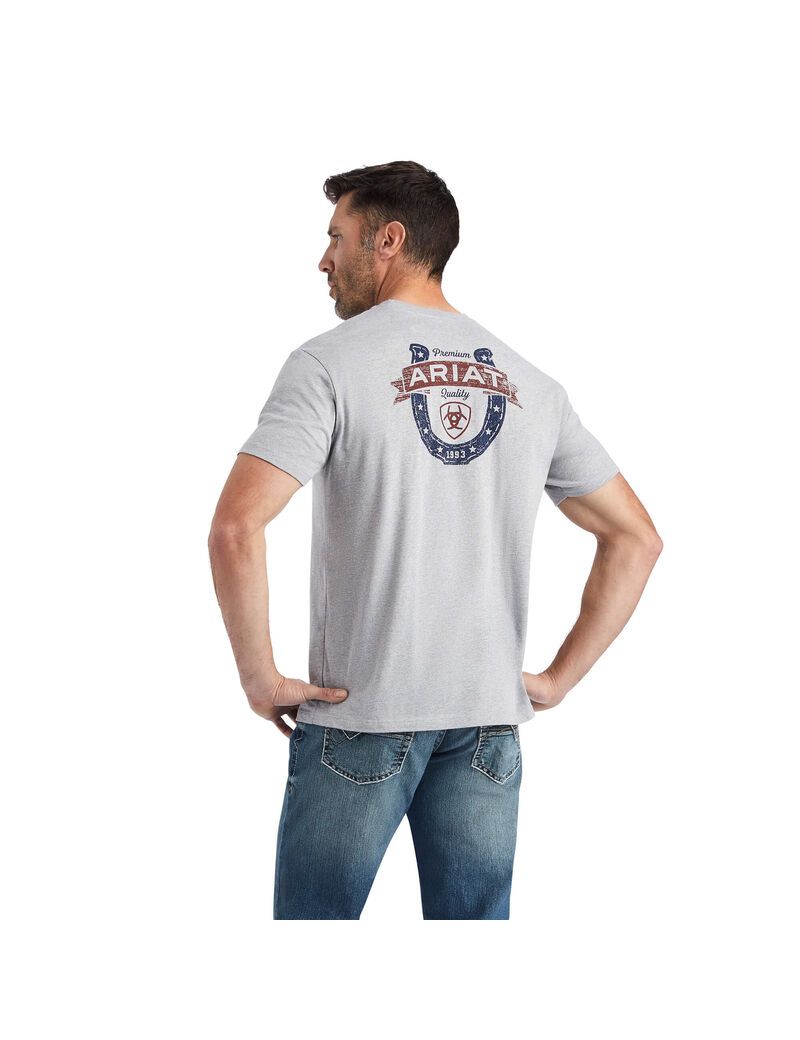 Camiseta Ariat Lucky Horseshoe Hombre Gris | THUP14308