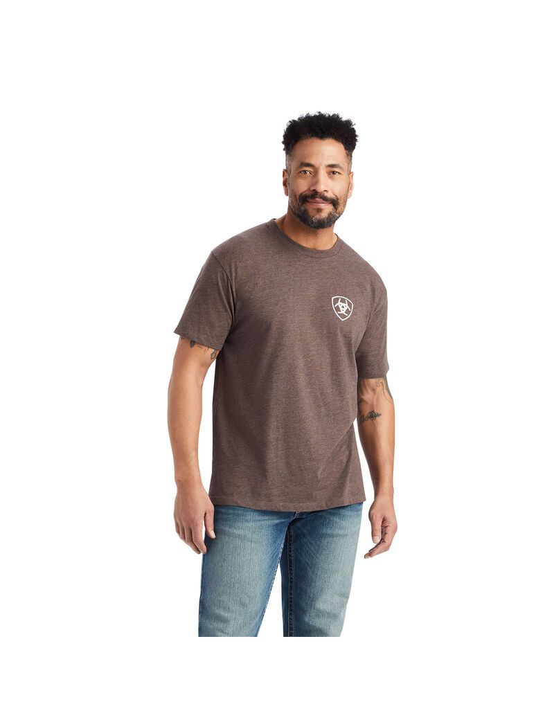 Camiseta Ariat Minimalist Hombre Marrones | NLKB07512