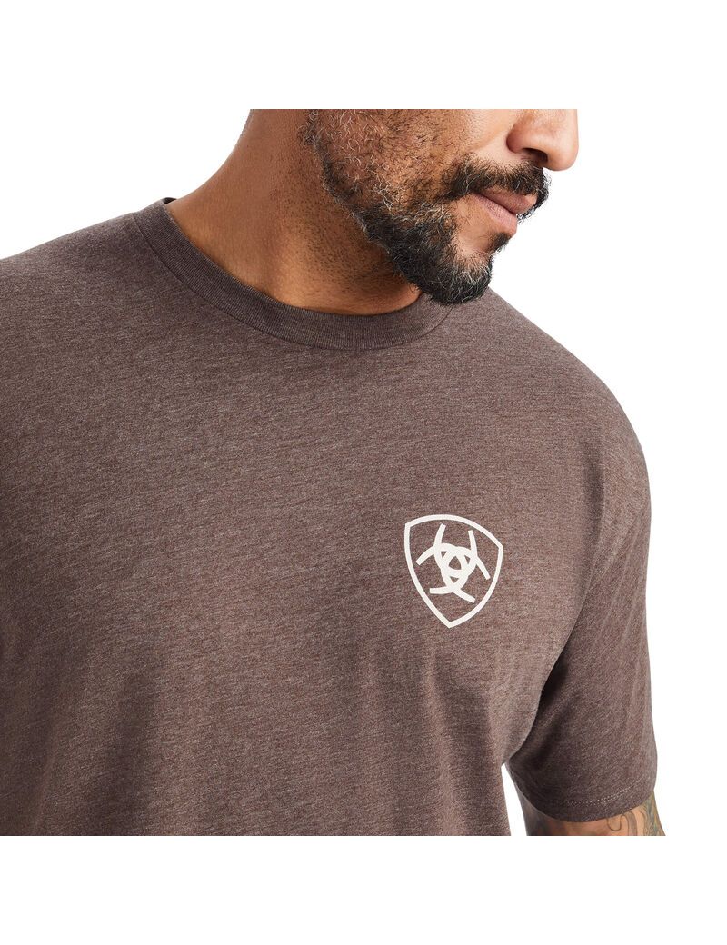 Camiseta Ariat Minimalist Hombre Marrones | NLKB07512