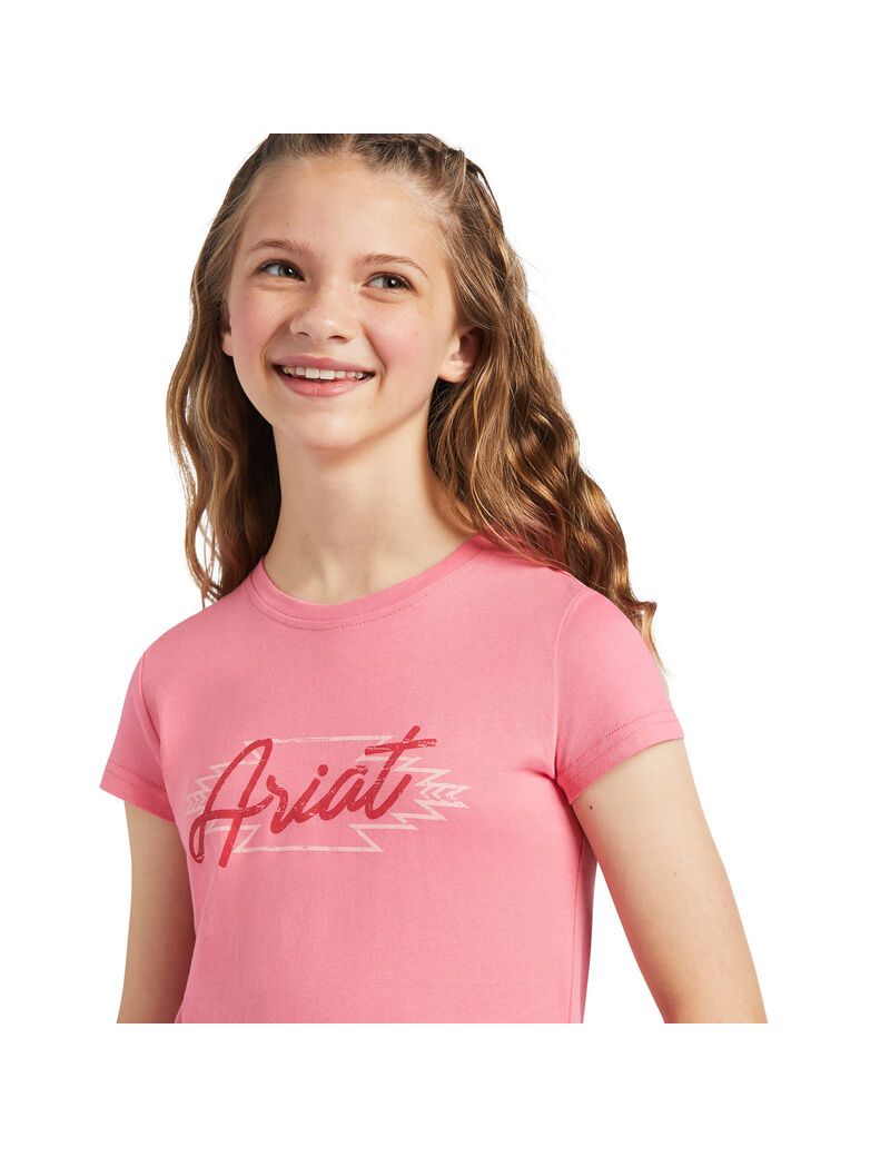 Camiseta Ariat REAL Border Estampadas Tee Niños Multicolor | TXRZ95821