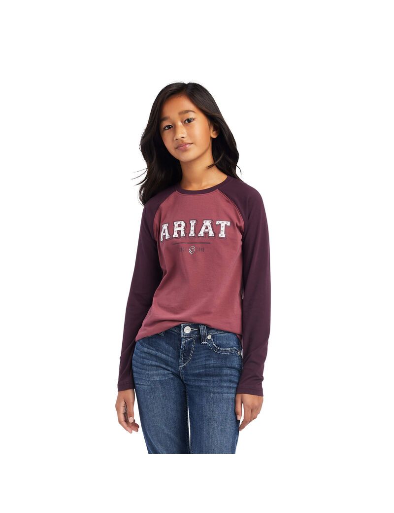 Camiseta Ariat Varsity Niños Rosas | LPYV35179