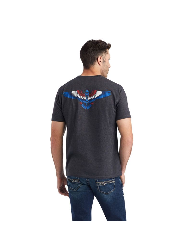 Camiseta Ariat Wingspan Hombre Gris | JVPO71528