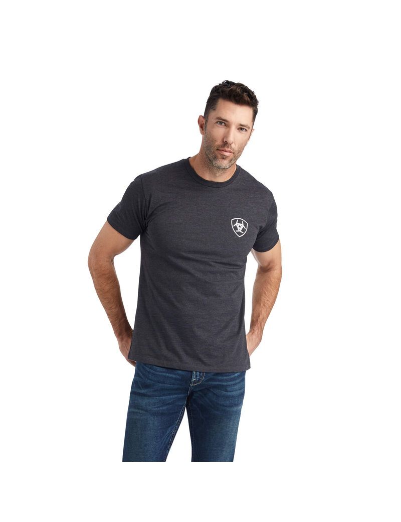 Camiseta Ariat Wingspan Hombre Gris | JVPO71528