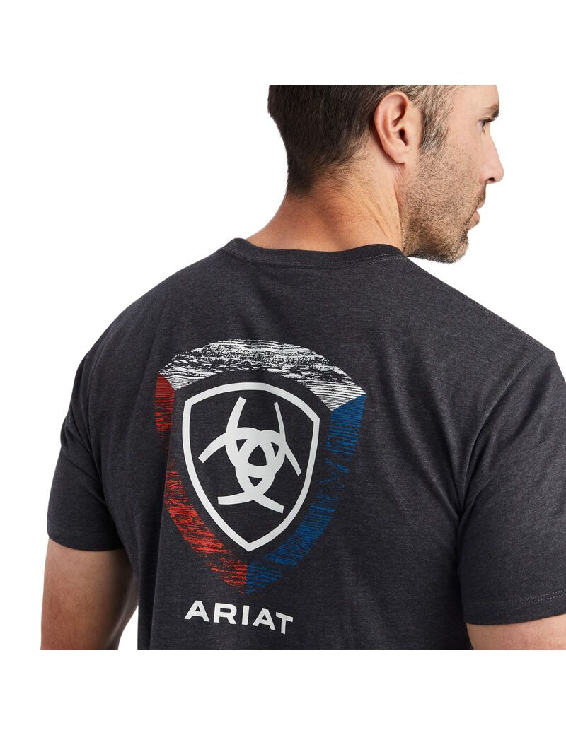 Camiseta Ariat Woodgrain Shield Hombre Gris | BAEL57264