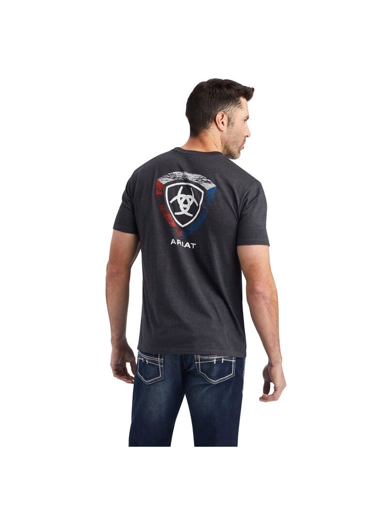 Camiseta Ariat Woodgrain Shield Hombre Gris | BAEL57264