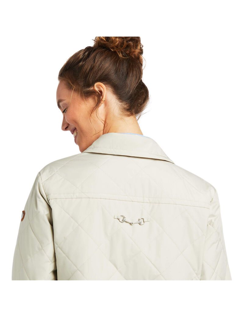 Chaquetas Ariat Belmont Shirt Mujer Gris Marrones | GTWS50271