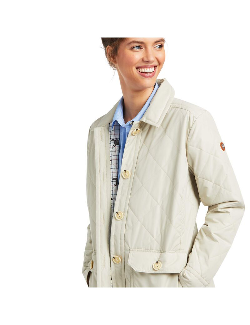 Chaquetas Ariat Belmont Shirt Mujer Gris Marrones | GTWS50271