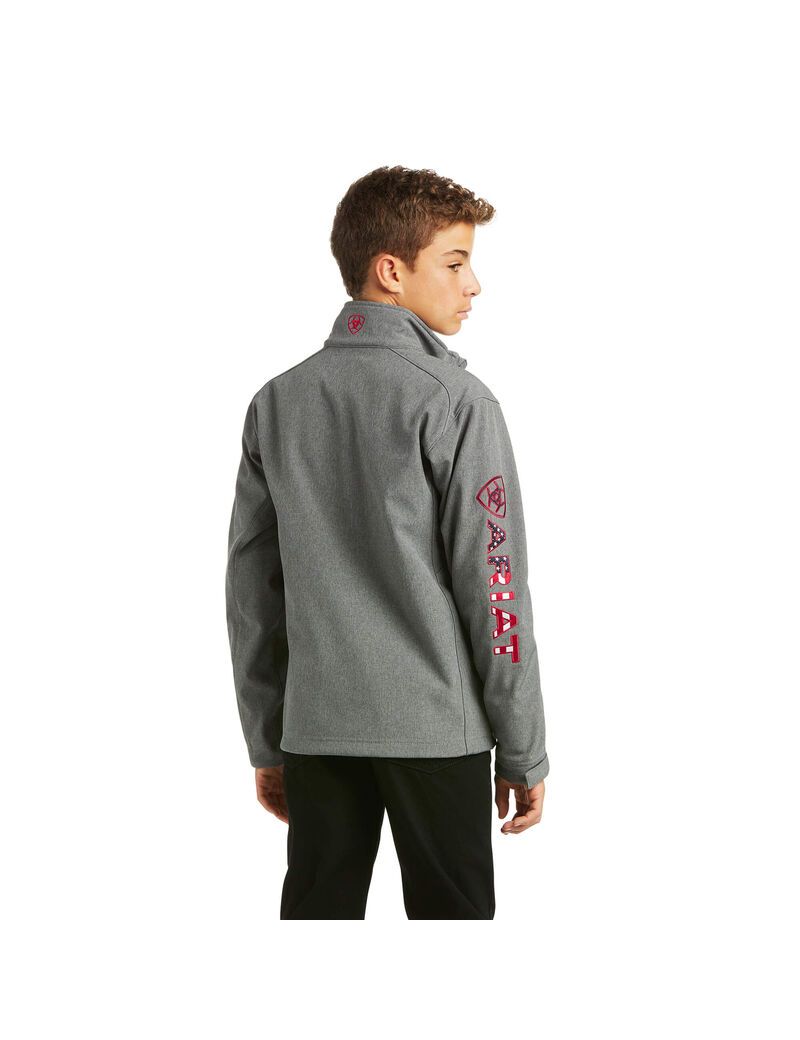 Chaquetas Ariat Logo 2.0 Softshell Niños Gris | QKLD89701