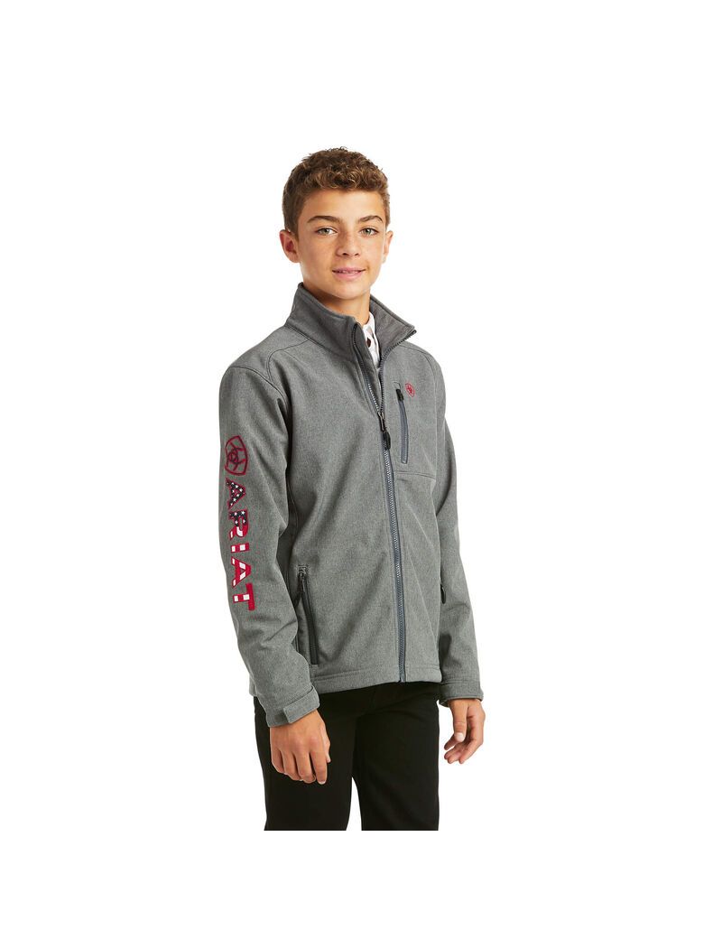 Chaquetas Ariat Logo 2.0 Softshell Niños Gris | QKLD89701