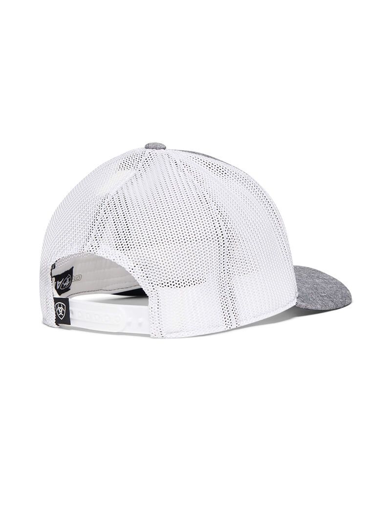 Gorras Ariat Logo patch Hombre Gris | RXFE18923