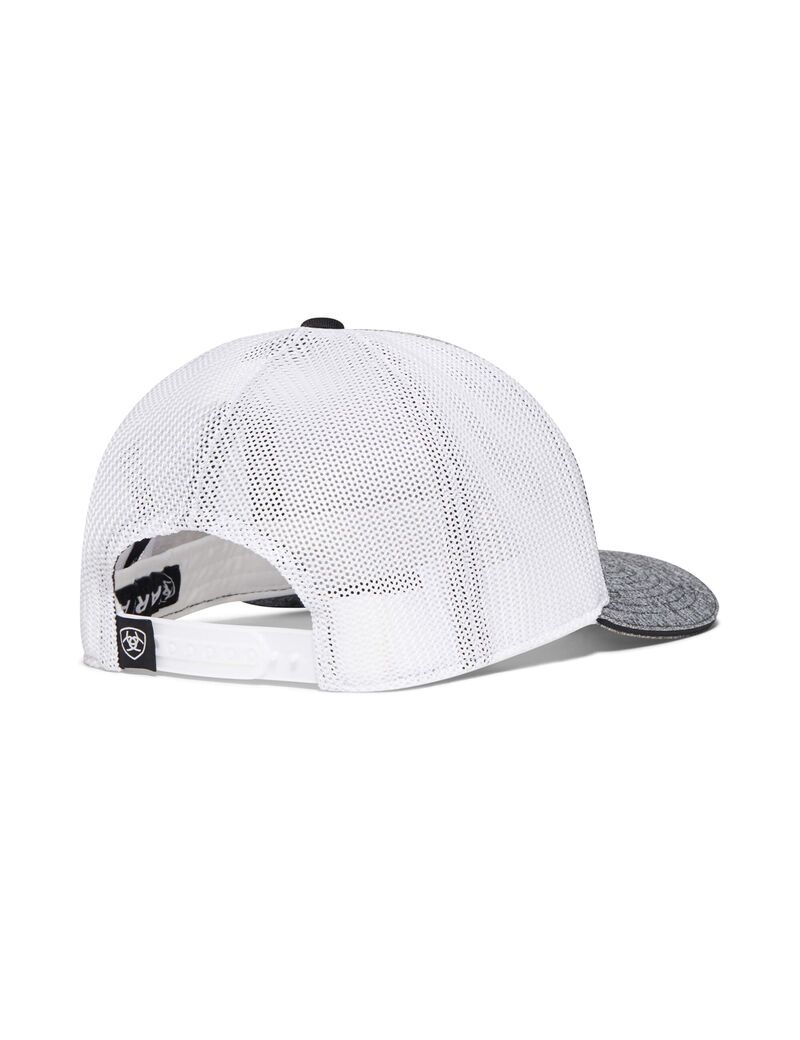 Gorras Ariat Mexico Hombre Gris | EXSB62904