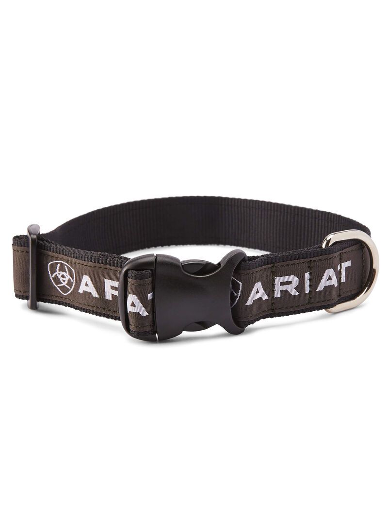 Pet Accessories Ariat Dog Collar Hombre Negras Gris | DCLF38956