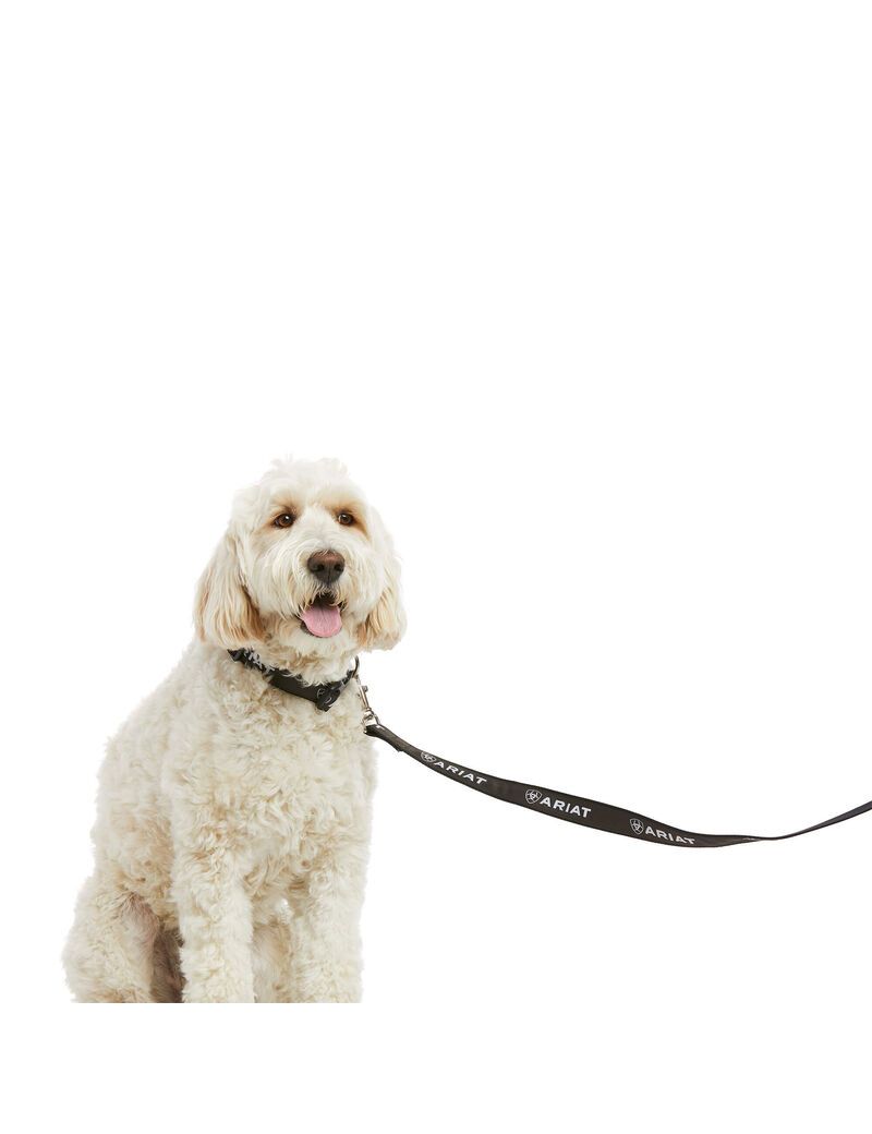 Pet Accessories Ariat Dog Leash Hombre Negras Gris | PGTH67842