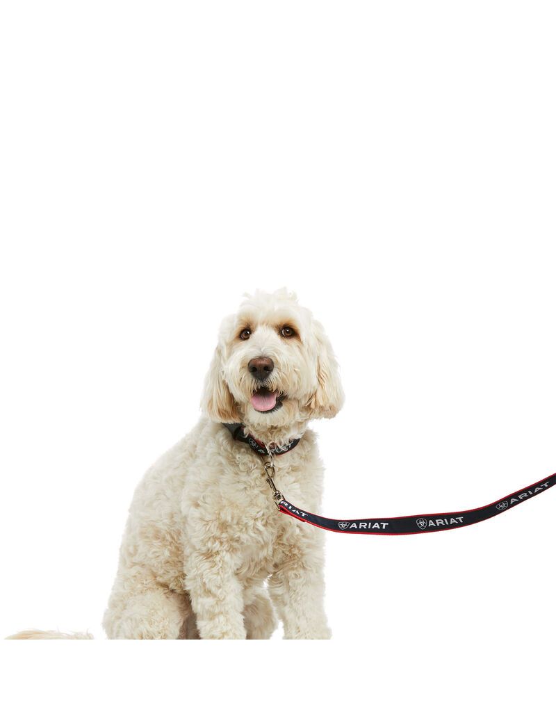 Pet Accessories Ariat Dog Leash Mujer Multicolor | BGIZ43907