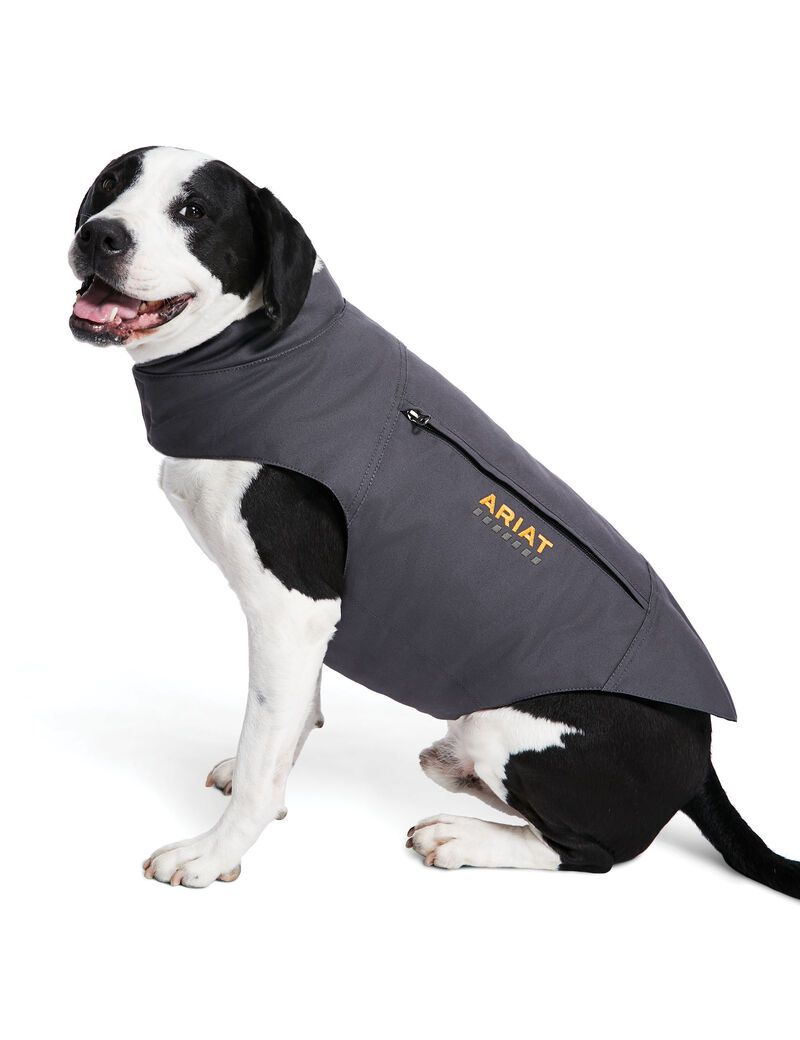 Pet Accessories Ariat Rebar DuraCanvas Insulated Dog Jackets Hombre Gris | OAHY71845