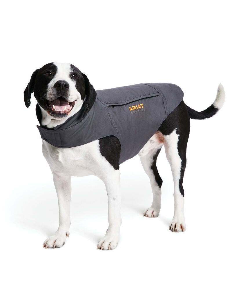 Pet Accessories Ariat Rebar DuraCanvas Insulated Dog Jackets Hombre Gris | OAHY71845