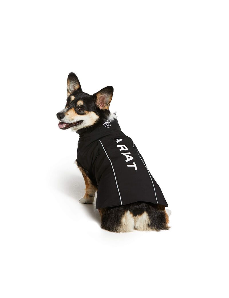 Pet Accessories Ariat Team Softshell Dog Jackets Mujer Negras | YCMW64789