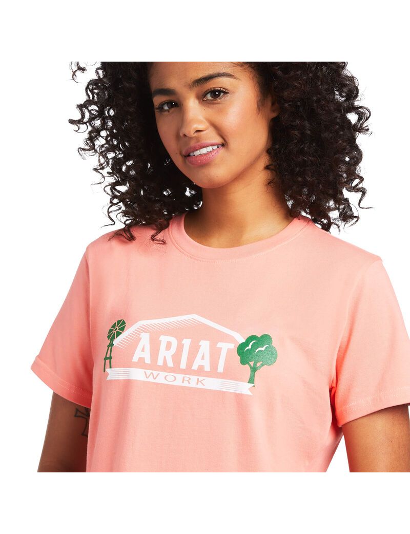 Ropa De Trabajo Ariat Rebar Algodon Strong Farm Estampadas T Shirts Mujer Multicolor | FSWO81096