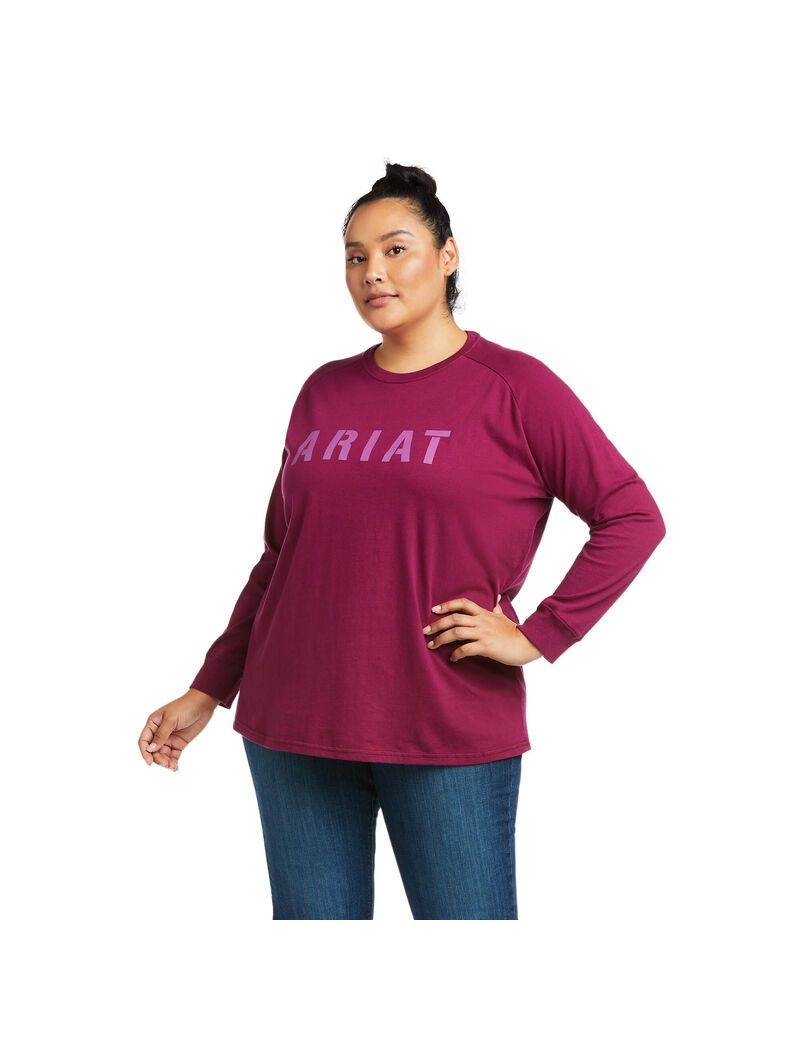 Ropa De Trabajo Ariat Rebar CottonStrong Block T Shirts Mujer Moradas | MJKX14897