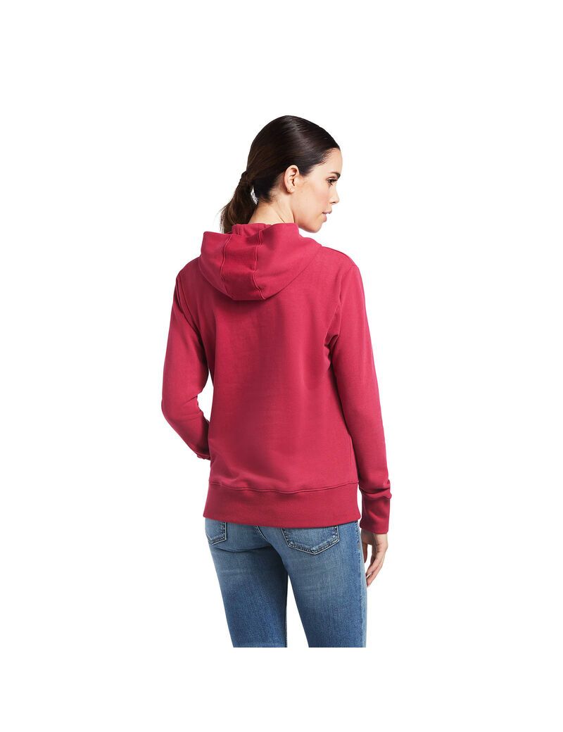 Sudadera Con Capucha Ariat 3D Logo 2.0 Mujer Rojas | ADOS03419