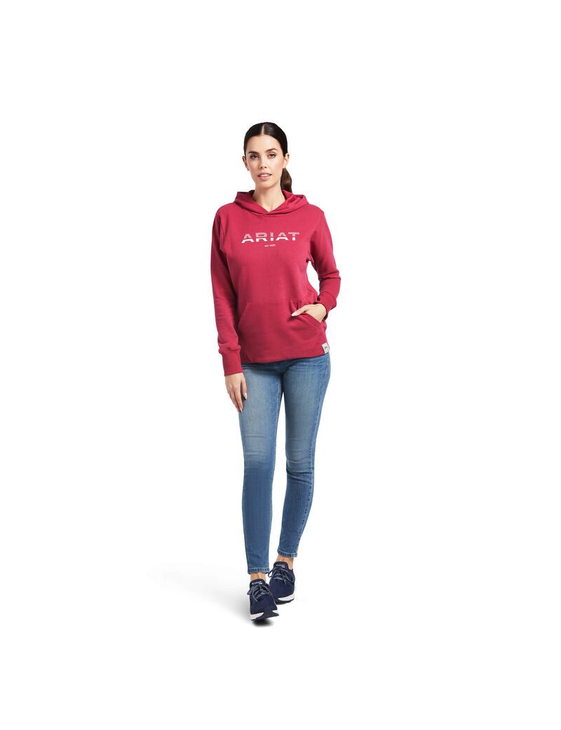 Sudadera Con Capucha Ariat 3D Logo 2.0 Mujer Rojas | ADOS03419