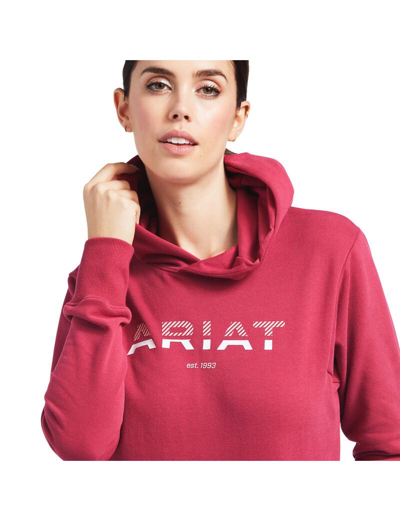 Sudadera Con Capucha Ariat 3D Logo 2.0 Mujer Rojas | ADOS03419