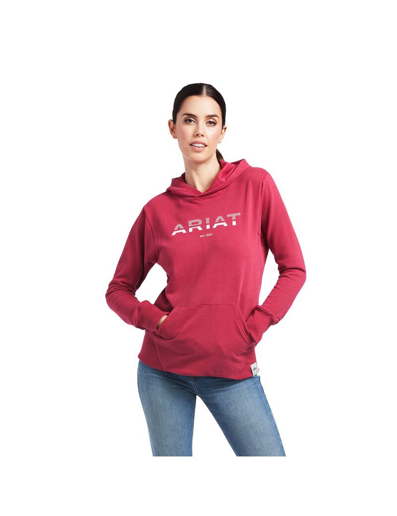 Sudadera Con Capucha Ariat 3D Logo 2.0 Mujer Rojas | ADOS03419