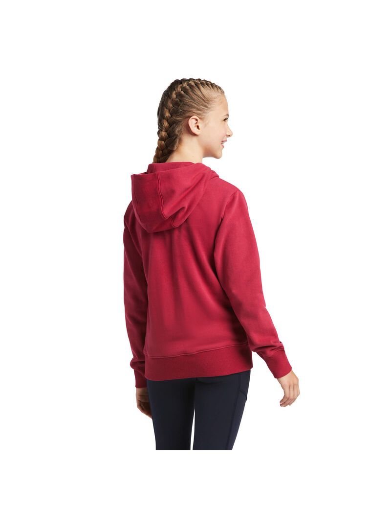 Sudadera Con Capucha Ariat 3D Logo 2.0 Niños Rojas | HSID56810