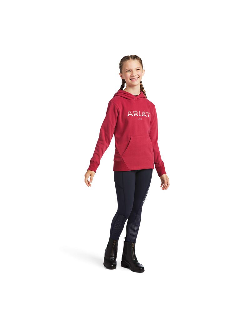 Sudadera Con Capucha Ariat 3D Logo 2.0 Niños Rojas | HSID56810