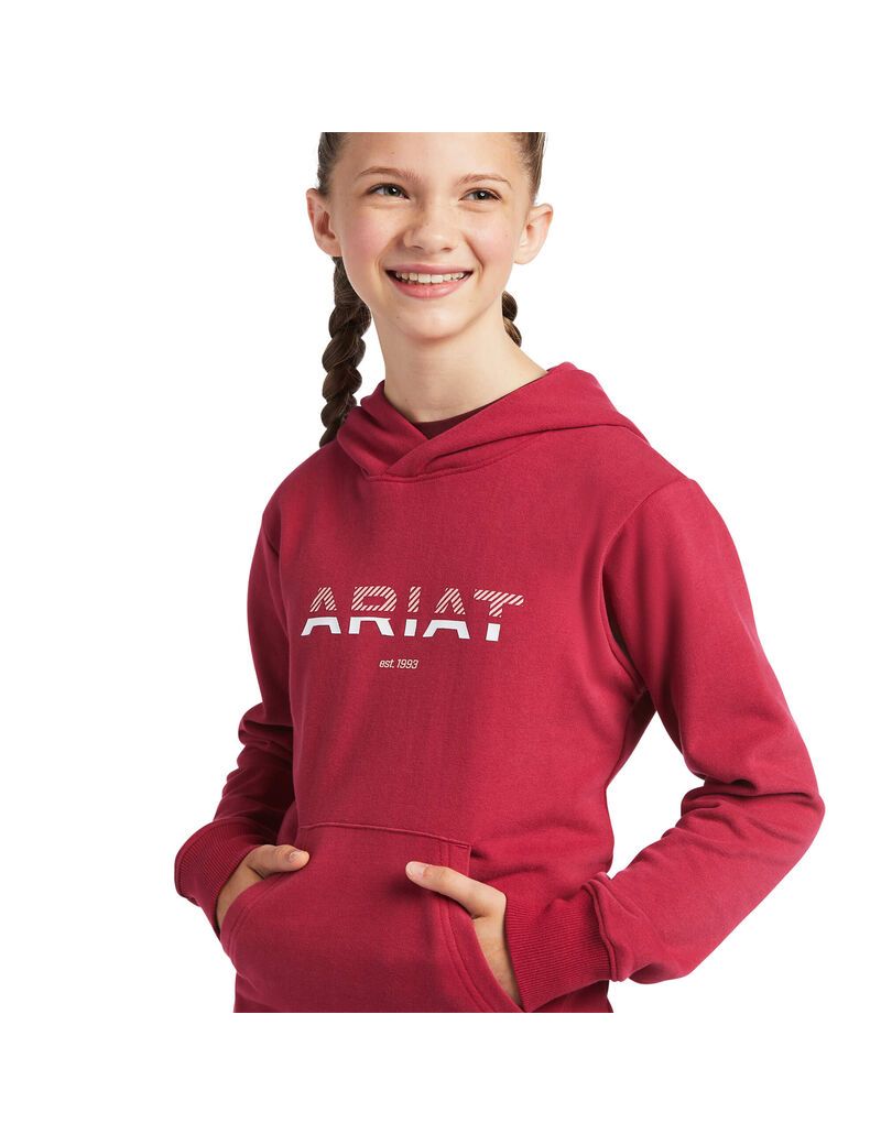 Sudadera Con Capucha Ariat 3D Logo 2.0 Niños Rojas | HSID56810