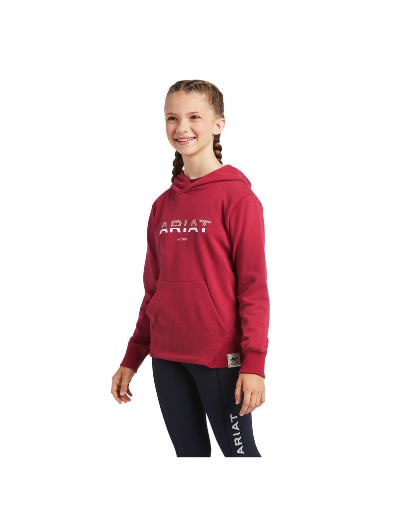 Sudadera Con Capucha Ariat 3D Logo 2.0 Niños Rojas | HSID56810