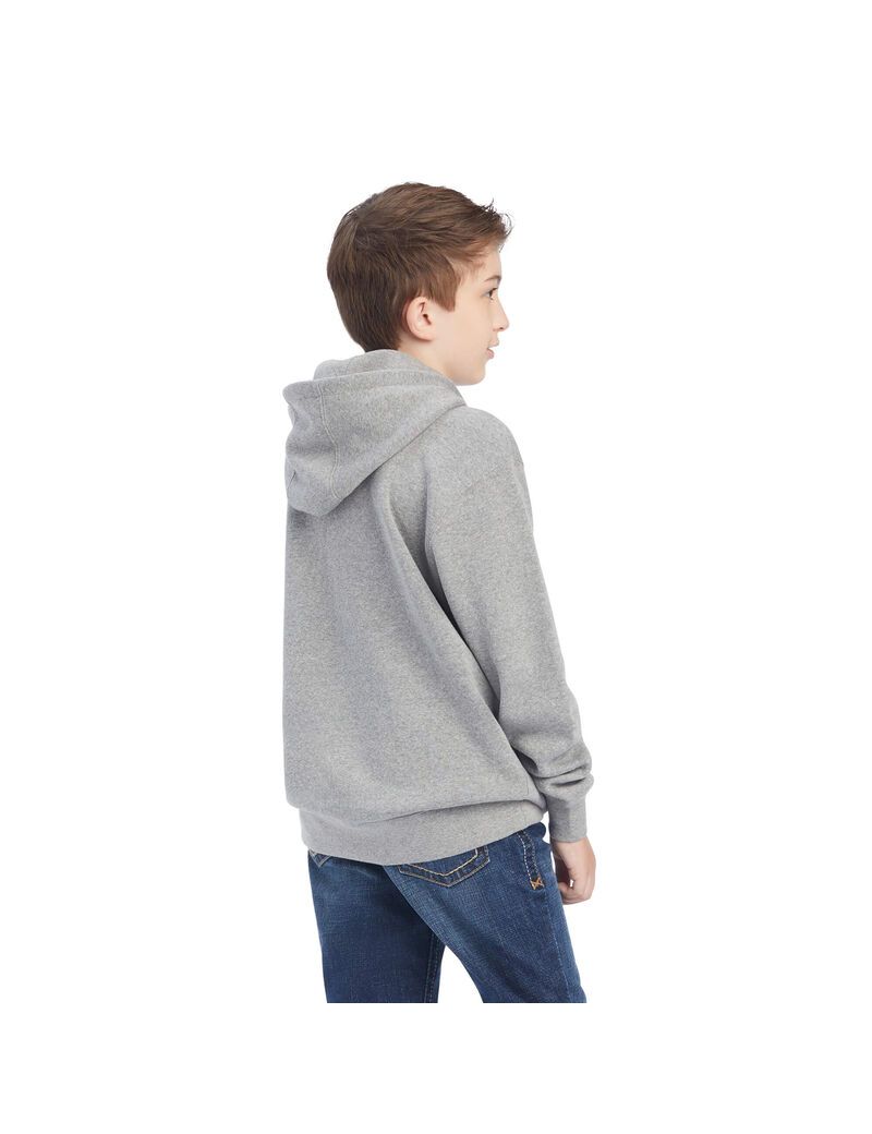 Sudadera Con Capucha Ariat Basic Sweatshirt Niños Naranjas | MXUH54968