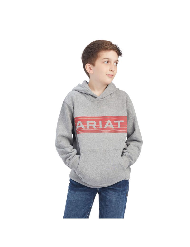 Sudadera Con Capucha Ariat Basic Sweatshirt Niños Naranjas | MXUH54968