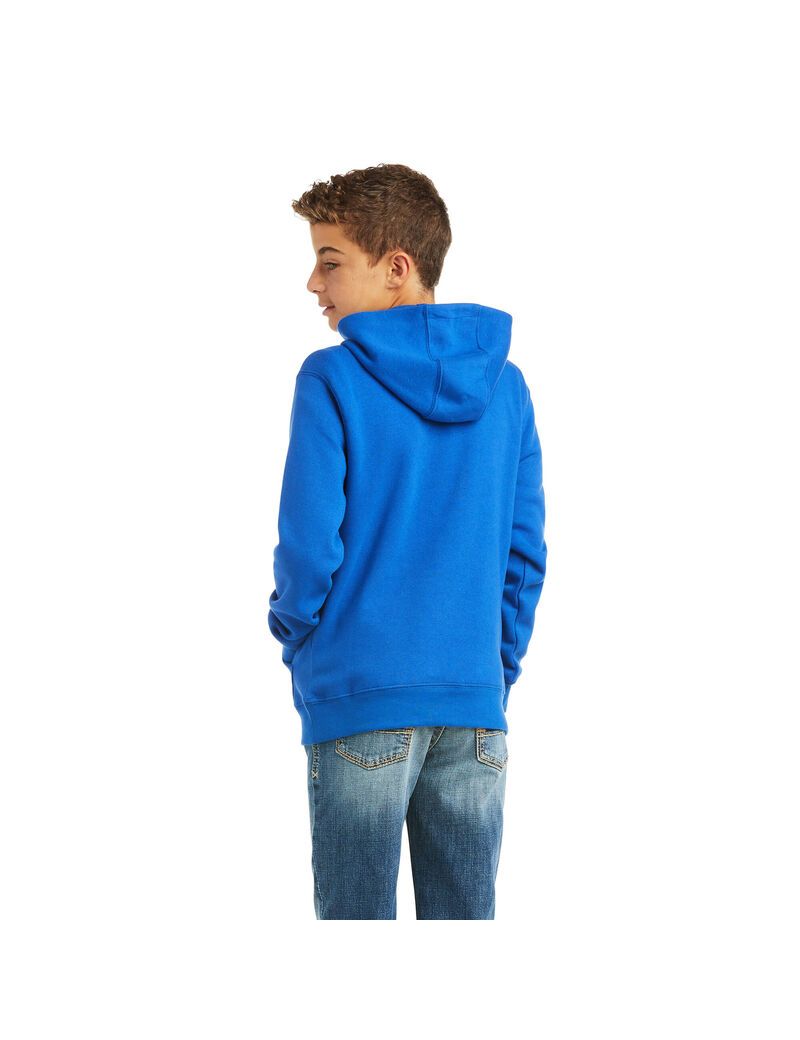 Sudadera Con Capucha Ariat Basic Sweatshirt Niños Azules Oscuro | OBYC74501