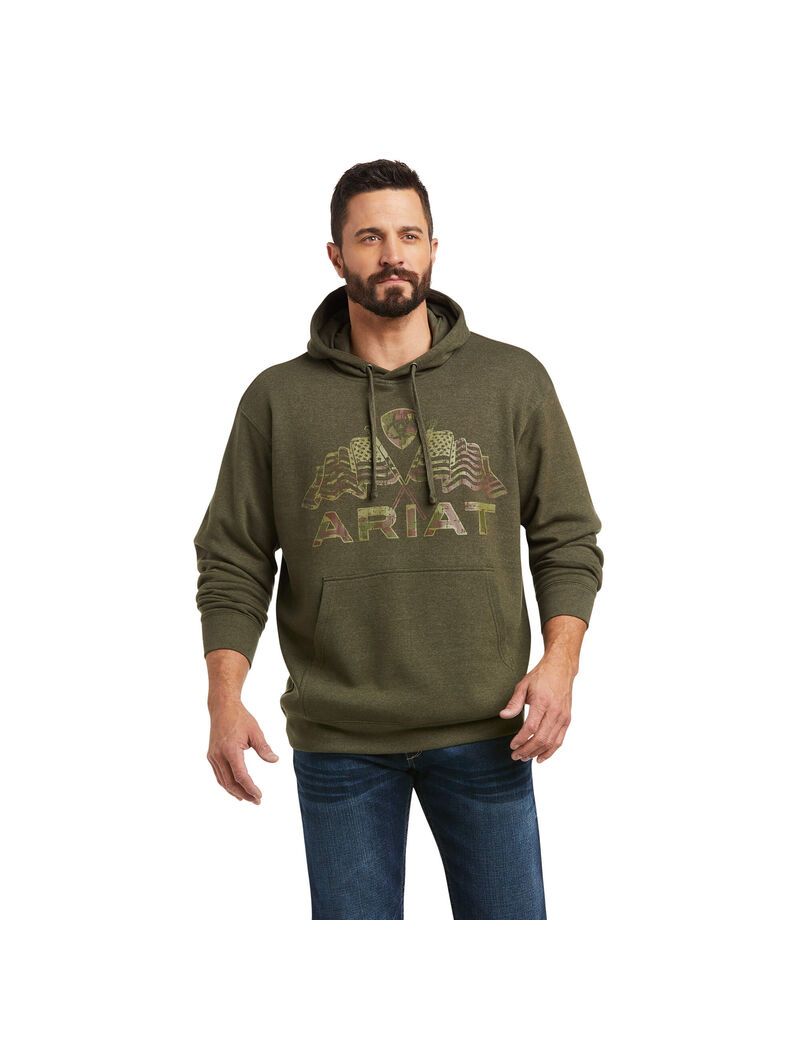 Sudadera Con Capucha Ariat Basic Sweatshirt Hombre Verde Oliva | YNPL89517