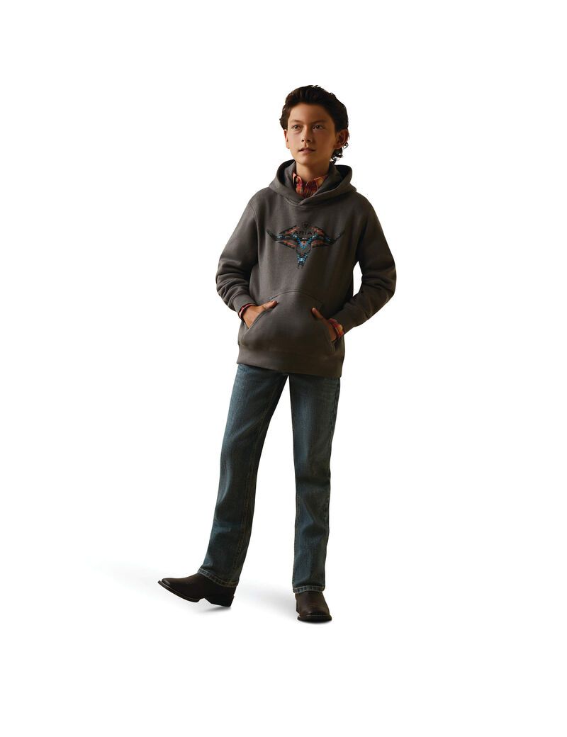 Sudadera Con Capucha Ariat Horns Southwest Niños Gris | OZSW54061