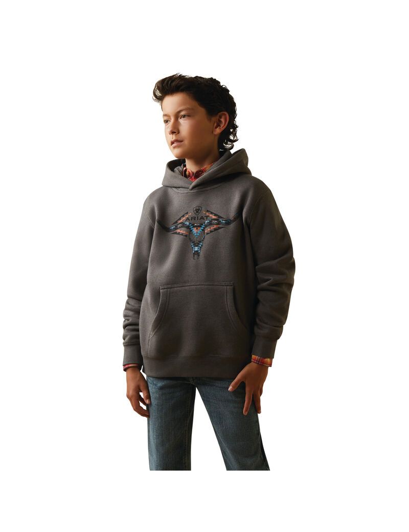 Sudadera Con Capucha Ariat Horns Southwest Niños Gris | OZSW54061