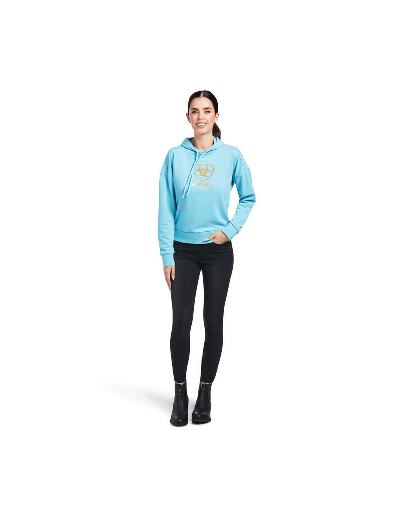 Sudadera Con Capucha Ariat Just Mujer Azules | CGQP12087