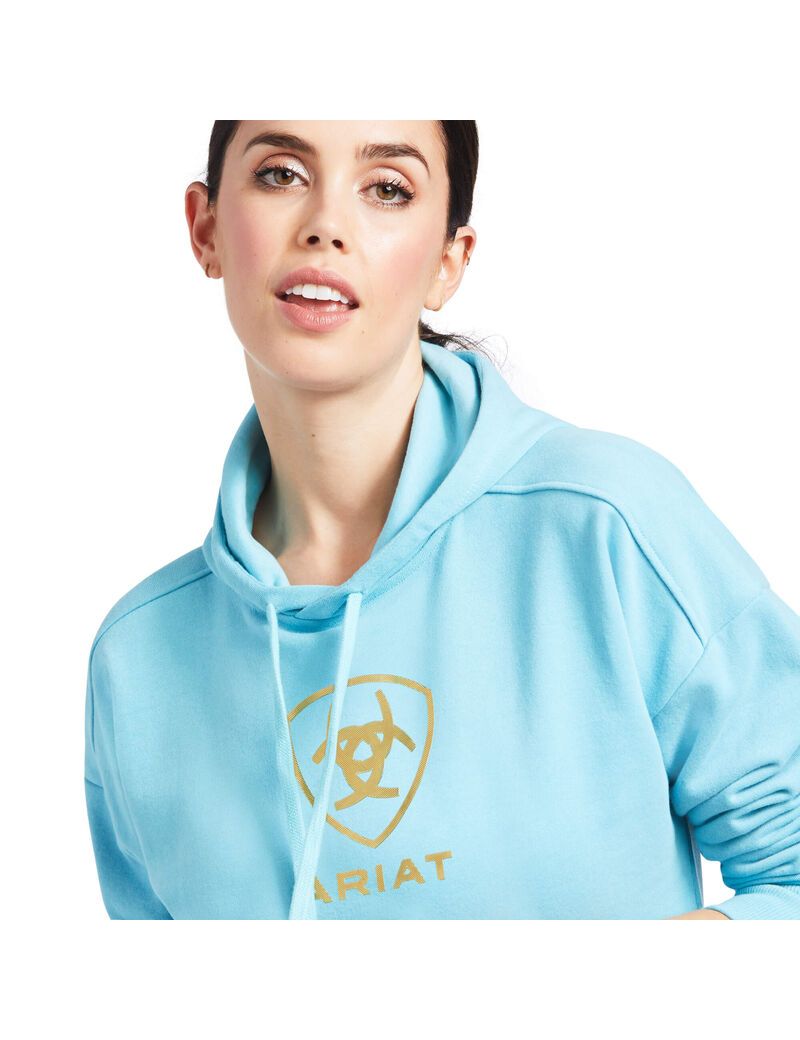 Sudadera Con Capucha Ariat Just Mujer Azules | CGQP12087