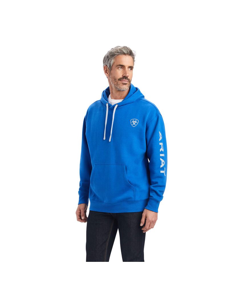 Sudadera Con Capucha Ariat Logo Hombre Azules Oscuro | MEGQ94615