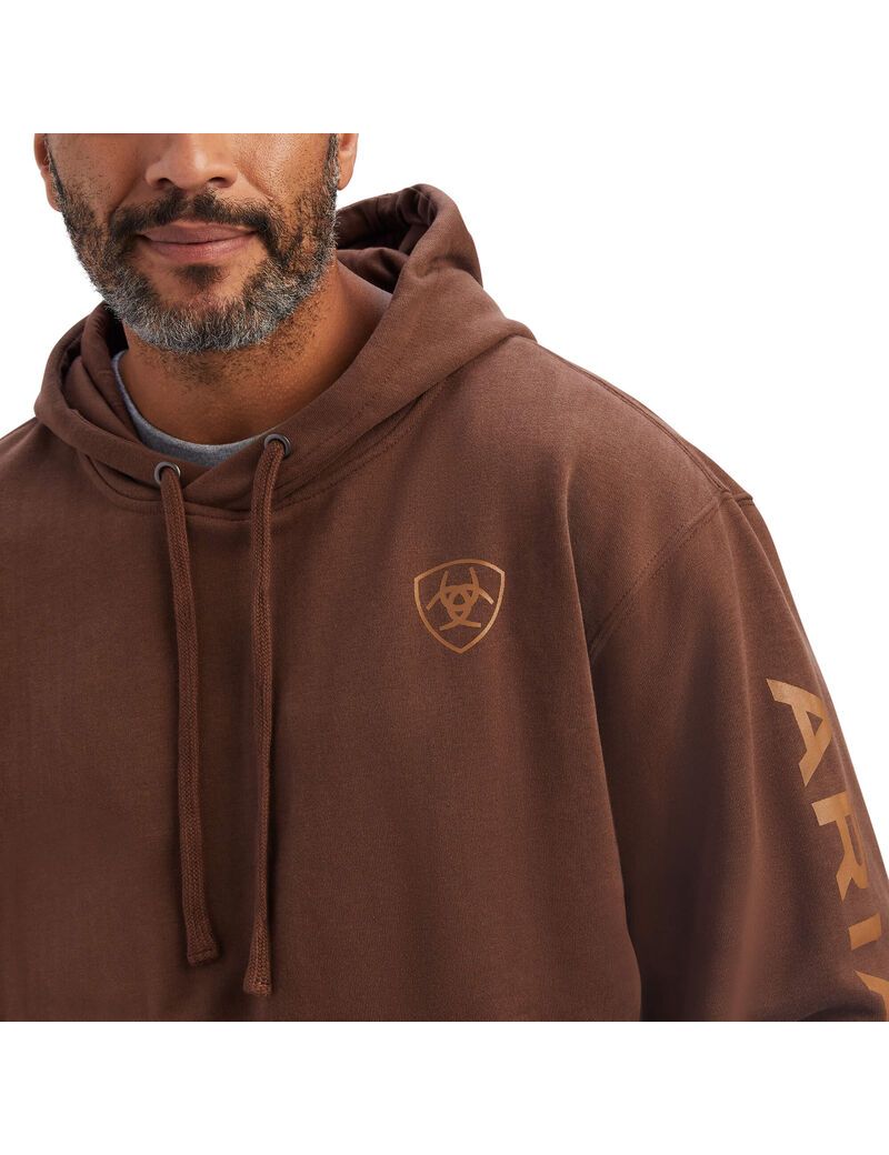 Sudadera Con Capucha Ariat Logo Hombre Marrones | BFIX14073