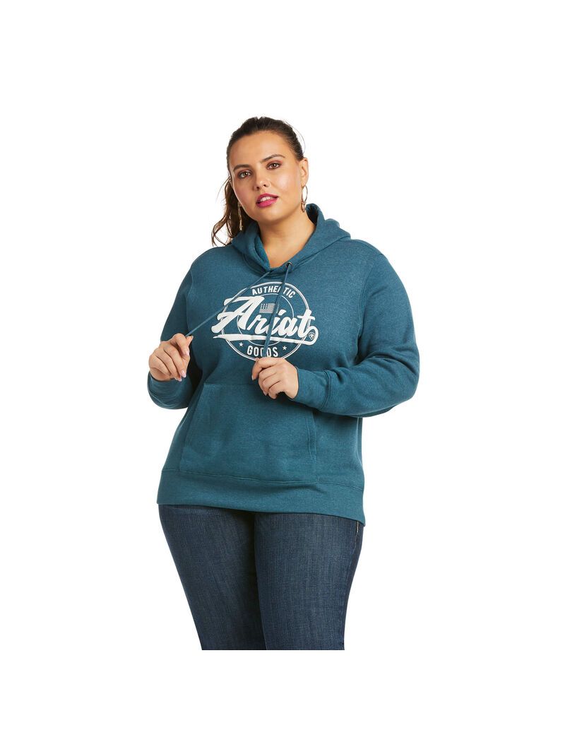 Sudadera Con Capucha Ariat REAL Arm Logo Mujer Turquesa | LRNX16052