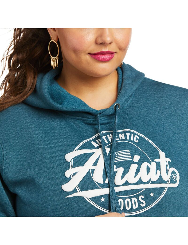 Sudadera Con Capucha Ariat REAL Arm Logo Mujer Turquesa | LRNX16052