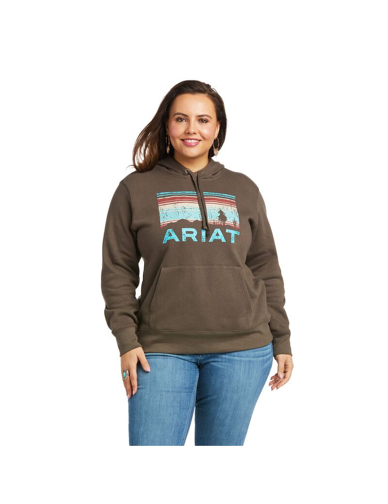 Sudadera Con Capucha Ariat REAL Arm Logo Mujer Multicolor | NSZB25618