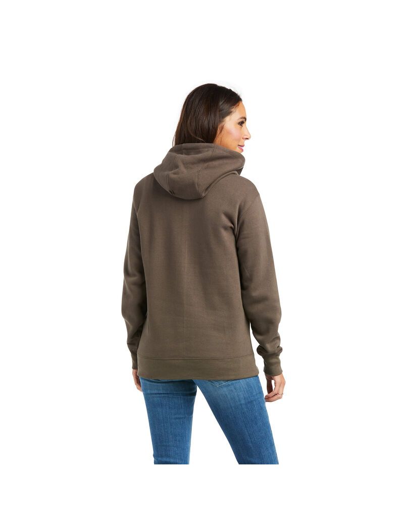 Sudadera Con Capucha Ariat REAL Arm Logo Mujer Multicolor | NSZB25618