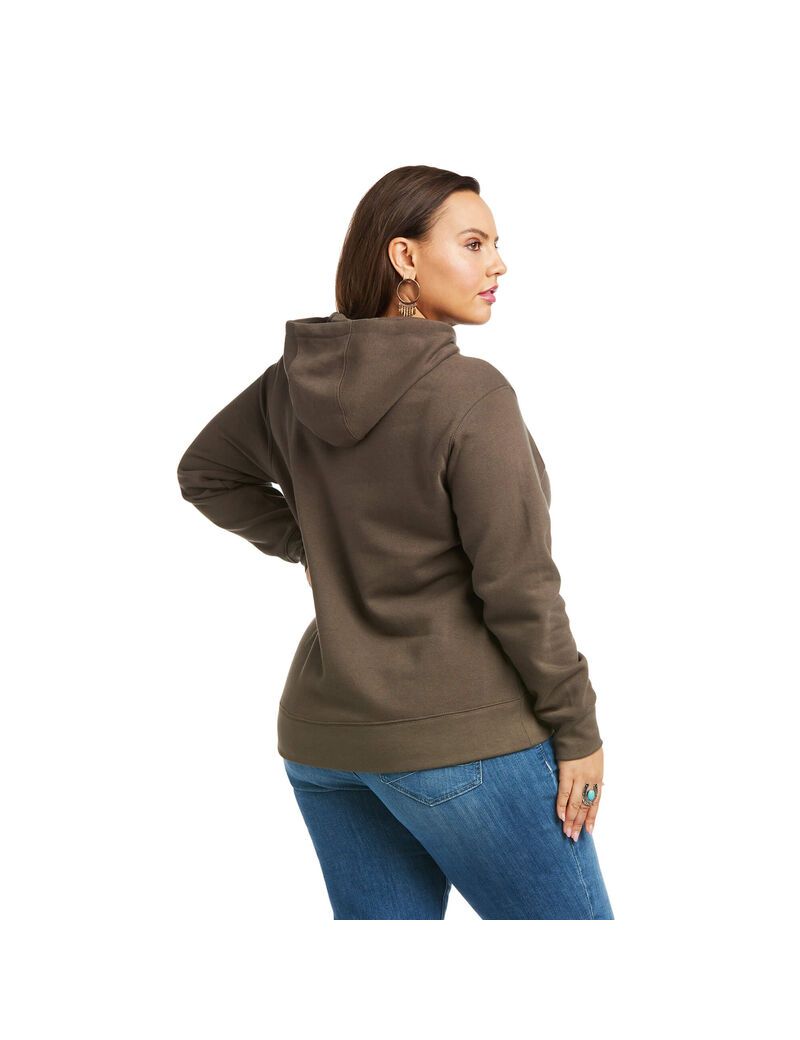 Sudadera Con Capucha Ariat REAL Arm Logo Mujer Multicolor | NSZB25618