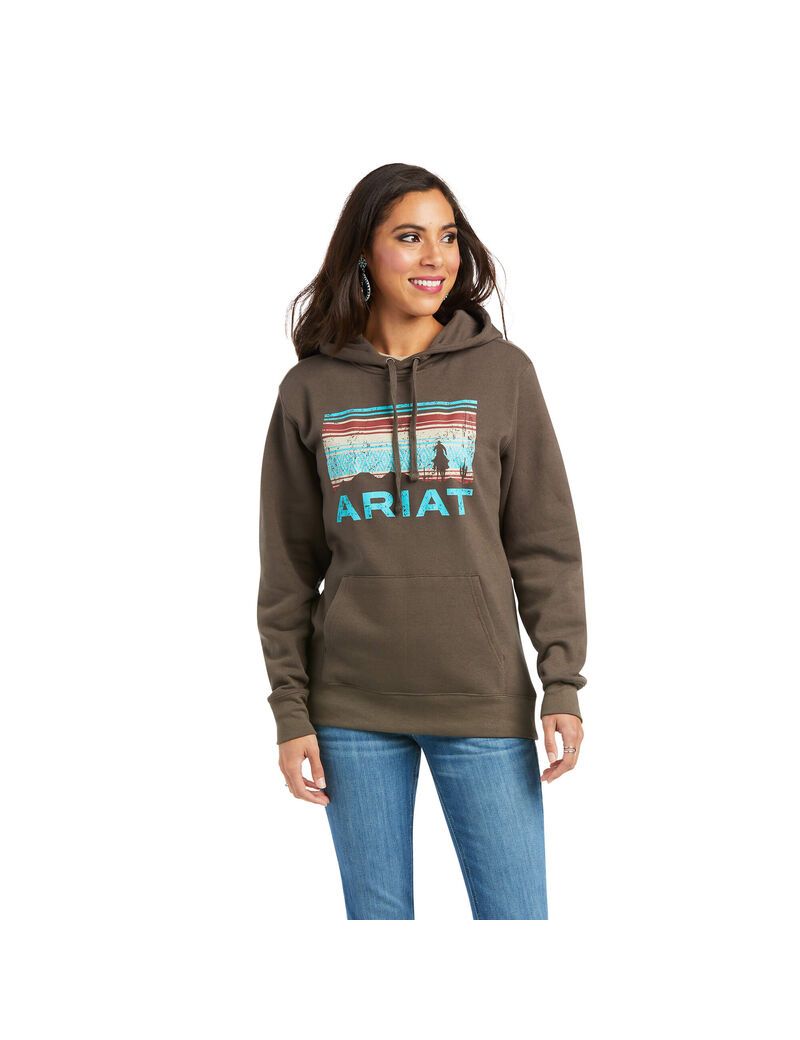 Sudadera Con Capucha Ariat REAL Arm Logo Mujer Multicolor | NSZB25618