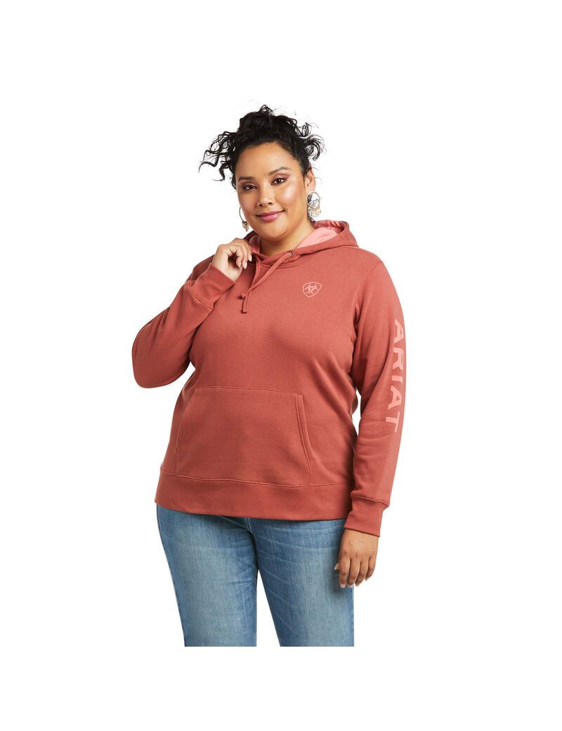 Sudadera Con Capucha Ariat REAL Arm Logo Mujer Multicolor | VZHT56381